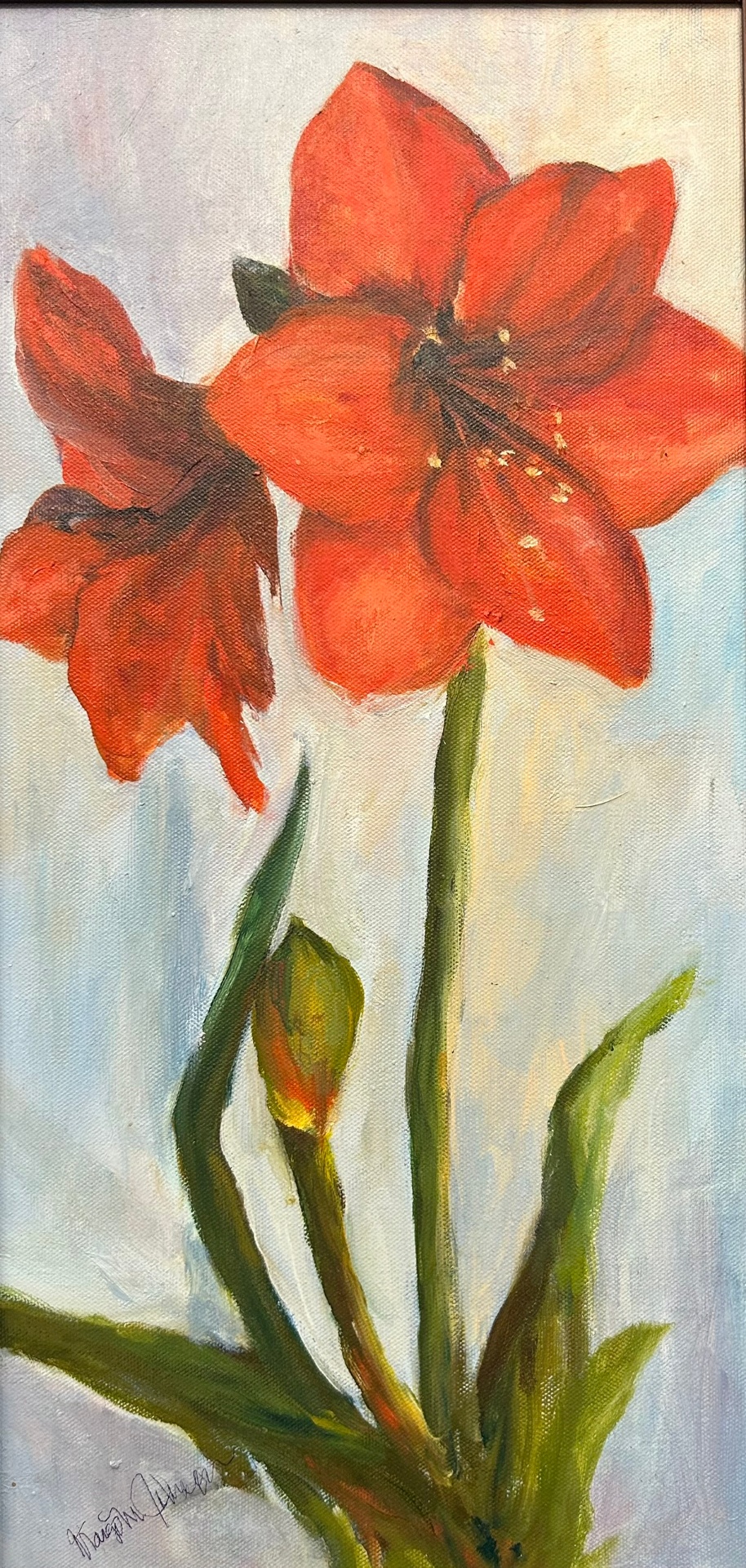 Amaryllis by Margo M. Johnson