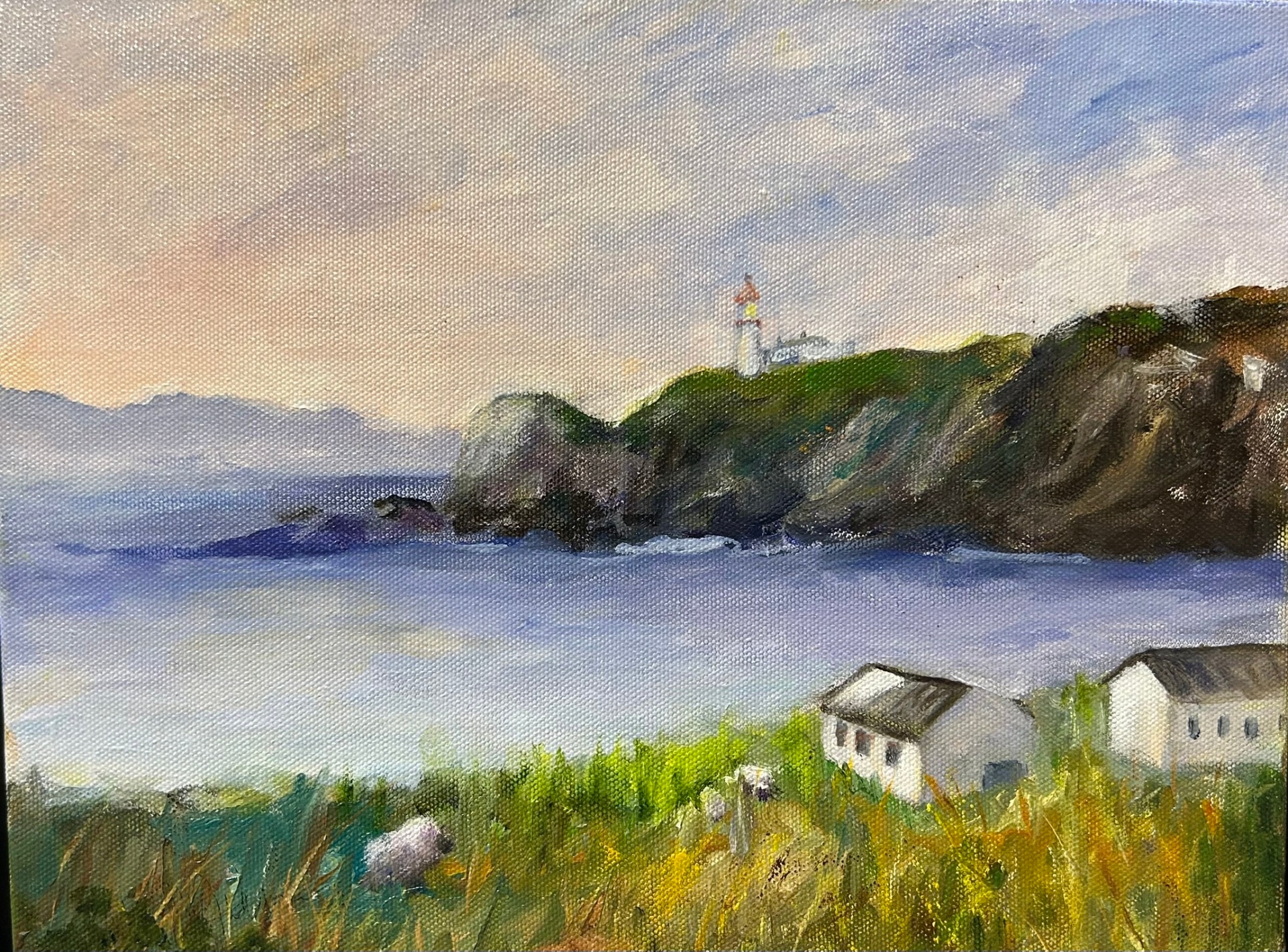 Donegal by Margo M. Johnson
