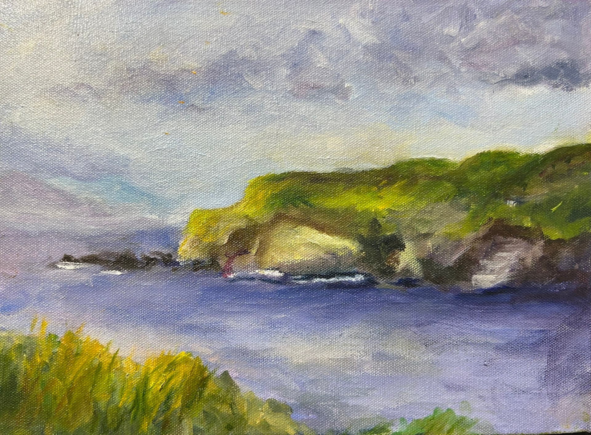 Cliffs of Ireland by Margo M. Johnson